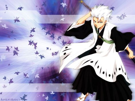 hitsugaya001.jpg