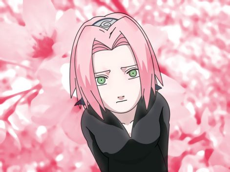 naruto_sakura_haruno_800-317880.jpeg